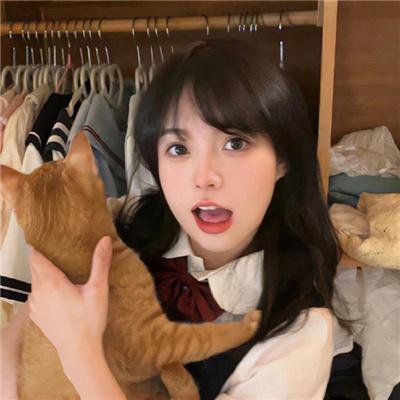 勇敢的翅膀